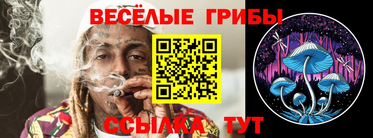 Псилоцибиновые грибы Psilocybe Куйбышев