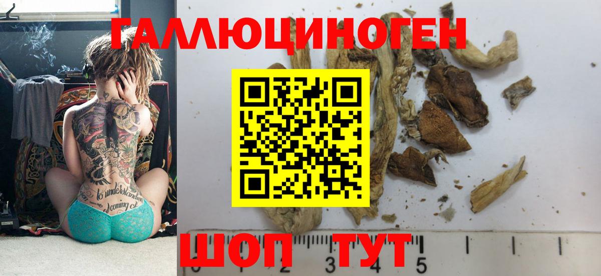 Куйбышев  цена   Вход с VPN  Галлюциногенные грибы Cubensis 